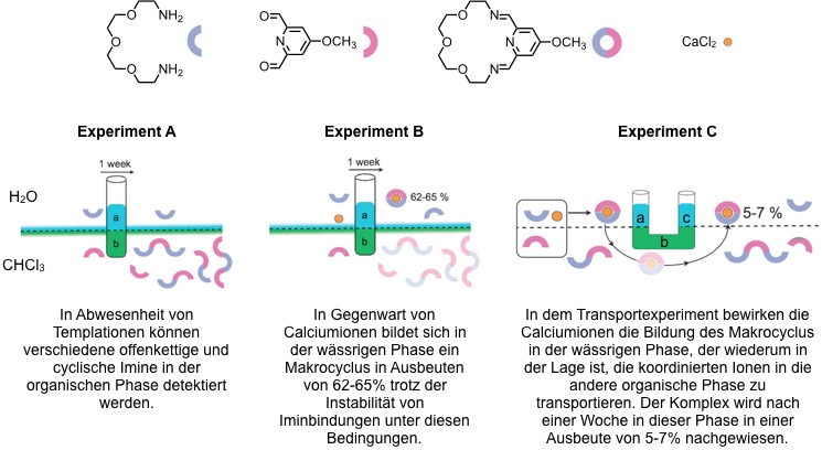 Membrantransport